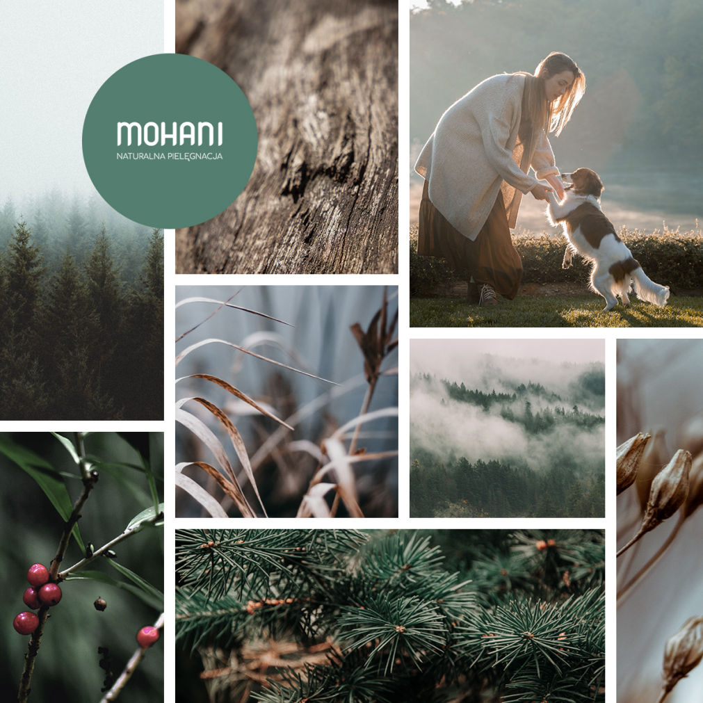 Kampanie social media dla Mohani | Pantoda Studio Wrocław